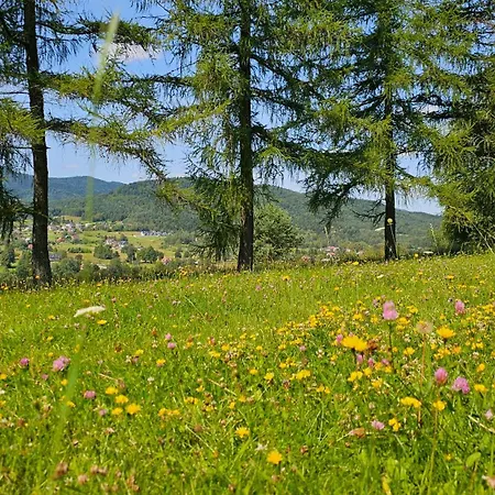 Osrodek Uzdrowiskowy Biawena